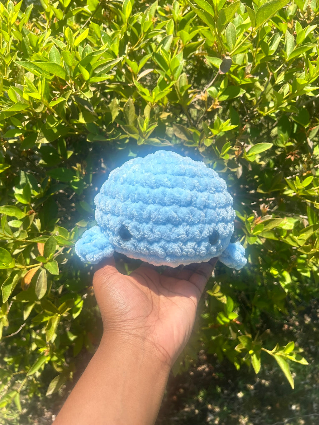 Large Whale