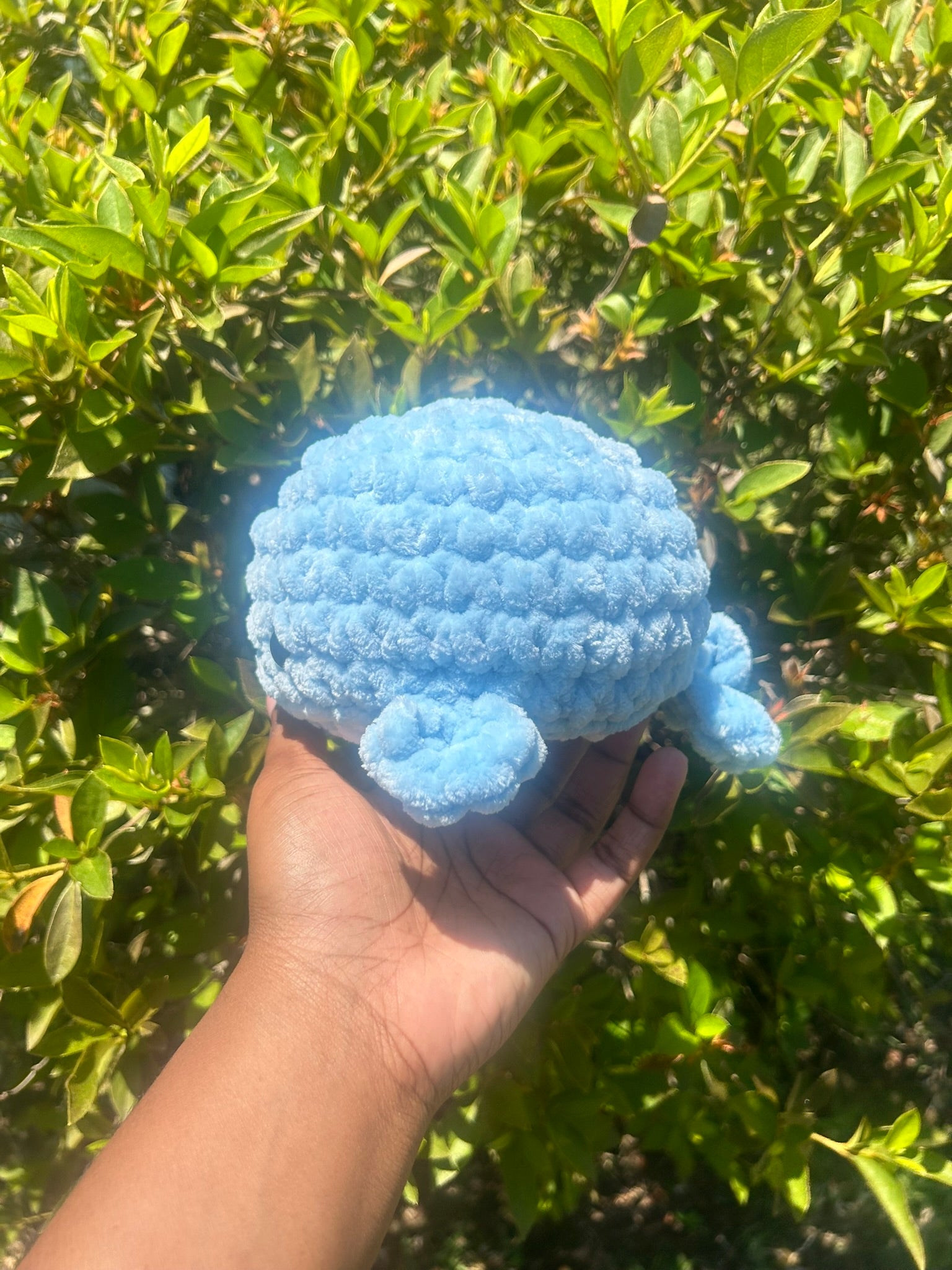 Large Whale