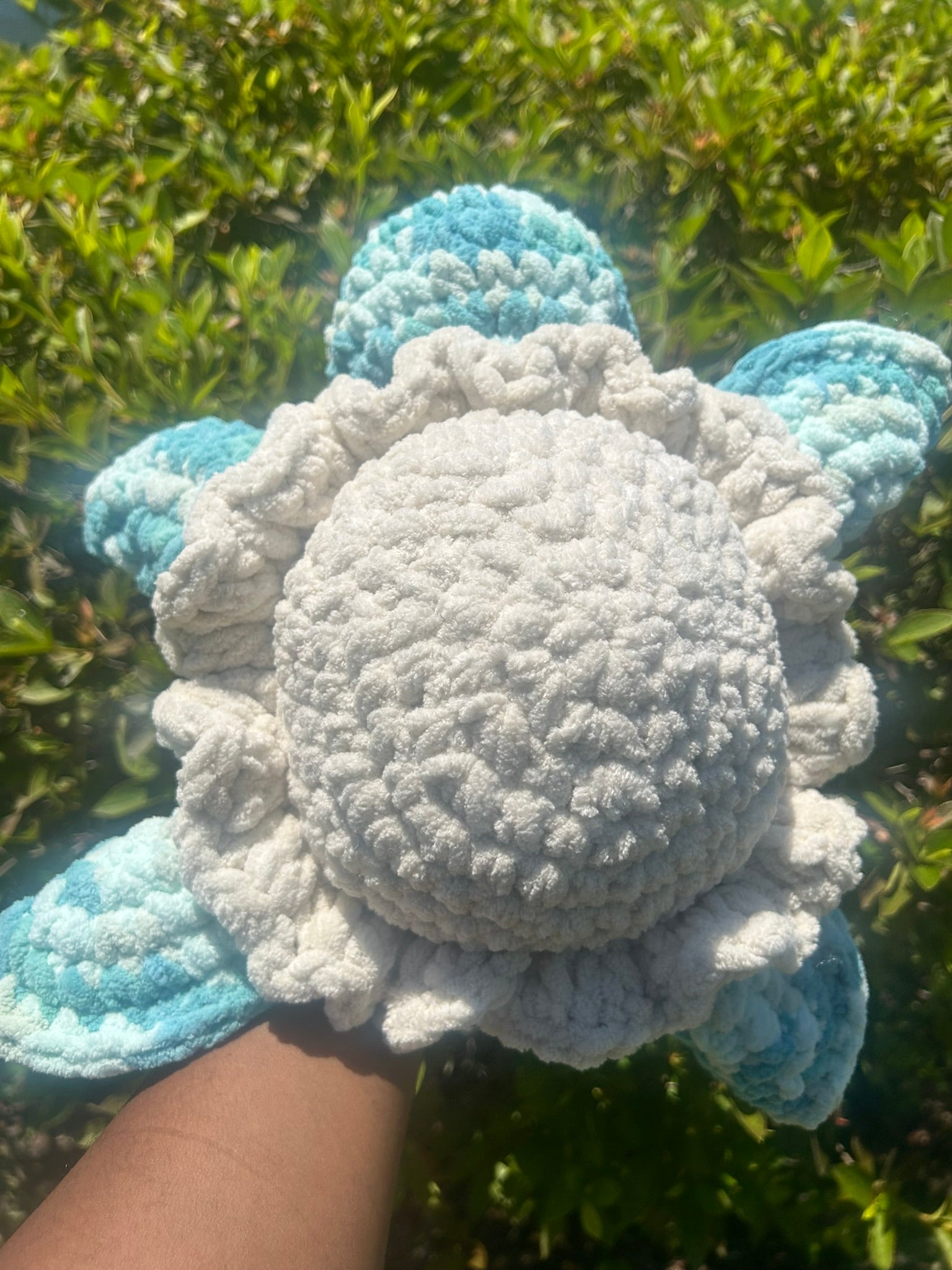 Classic Sea Turtle