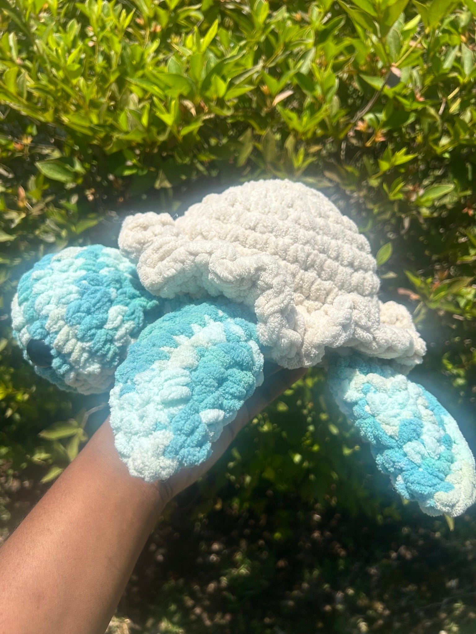 Classic Sea Turtle