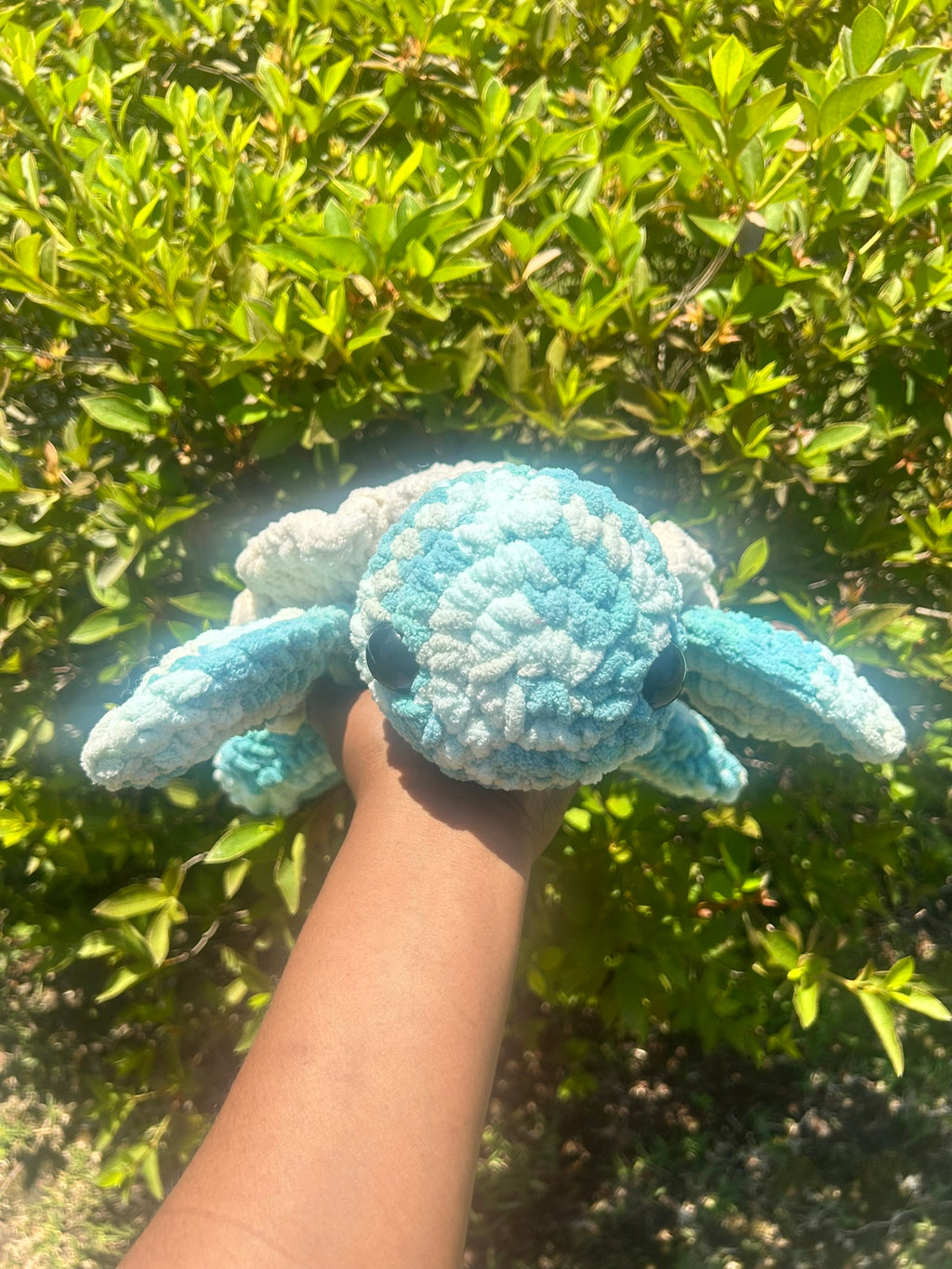 Classic Sea Turtle