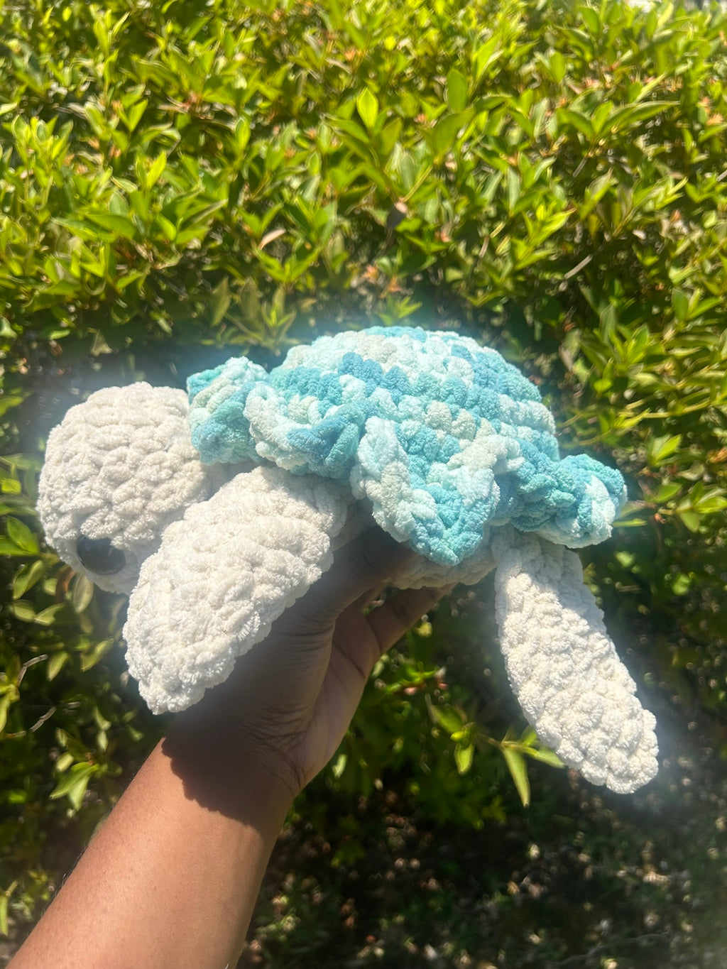 Classic Sea Turtle