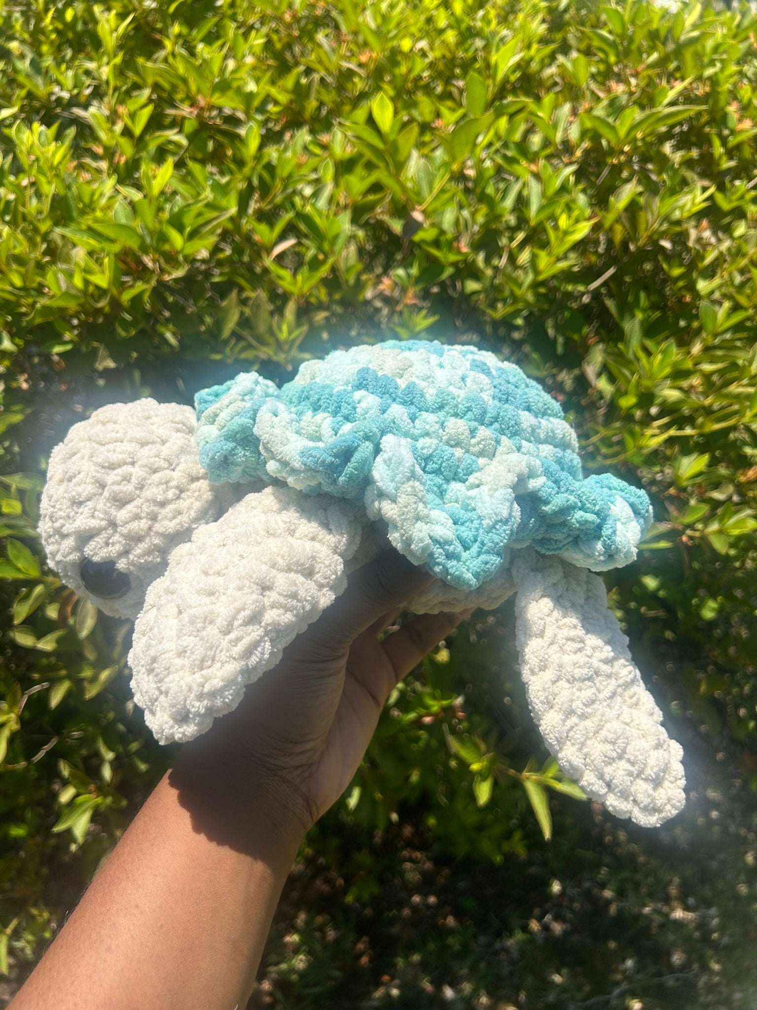 Classic Sea Turtle