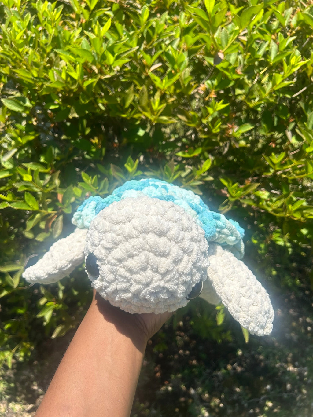 Classic Sea Turtle
