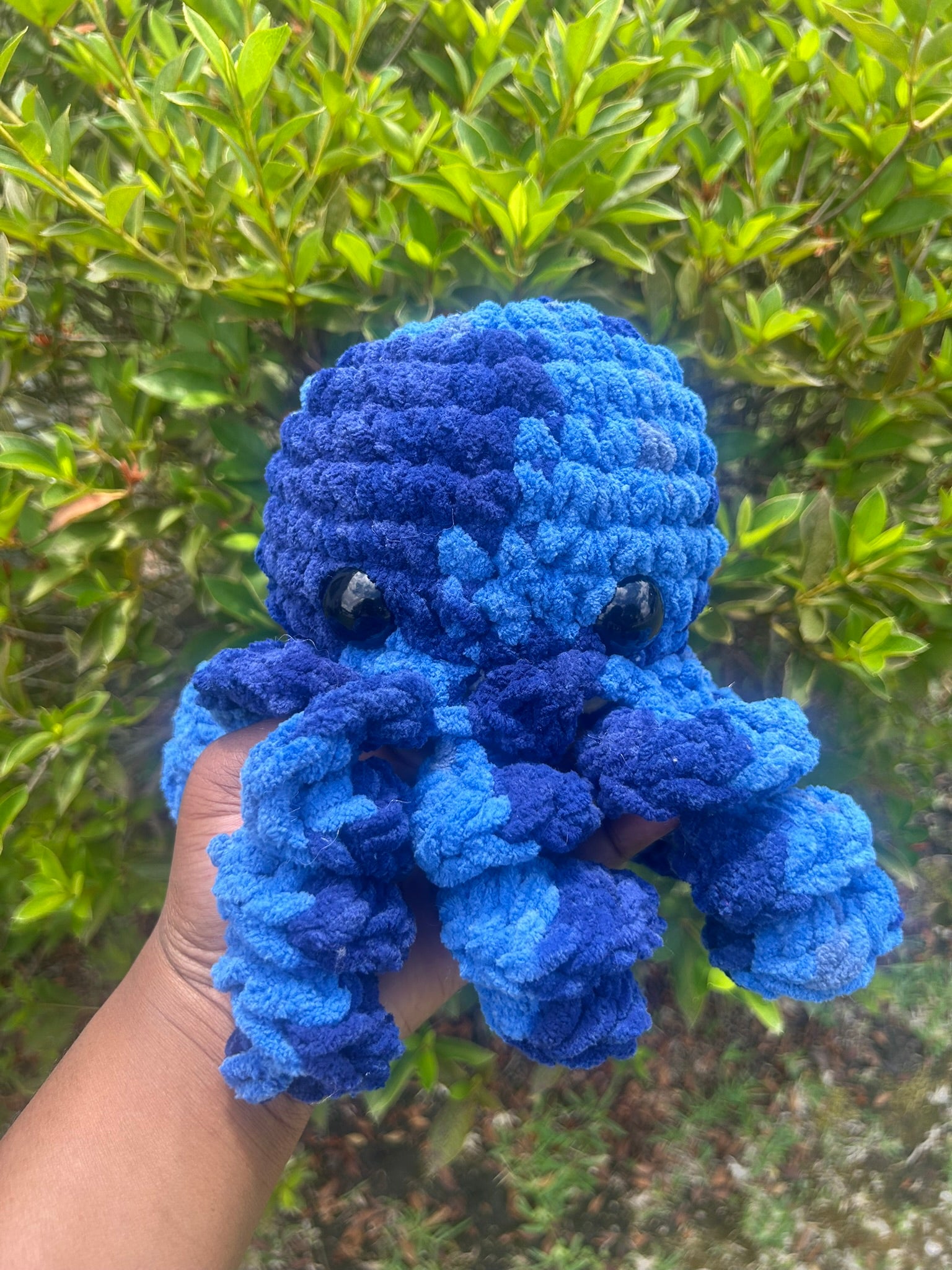 Classic Octopus