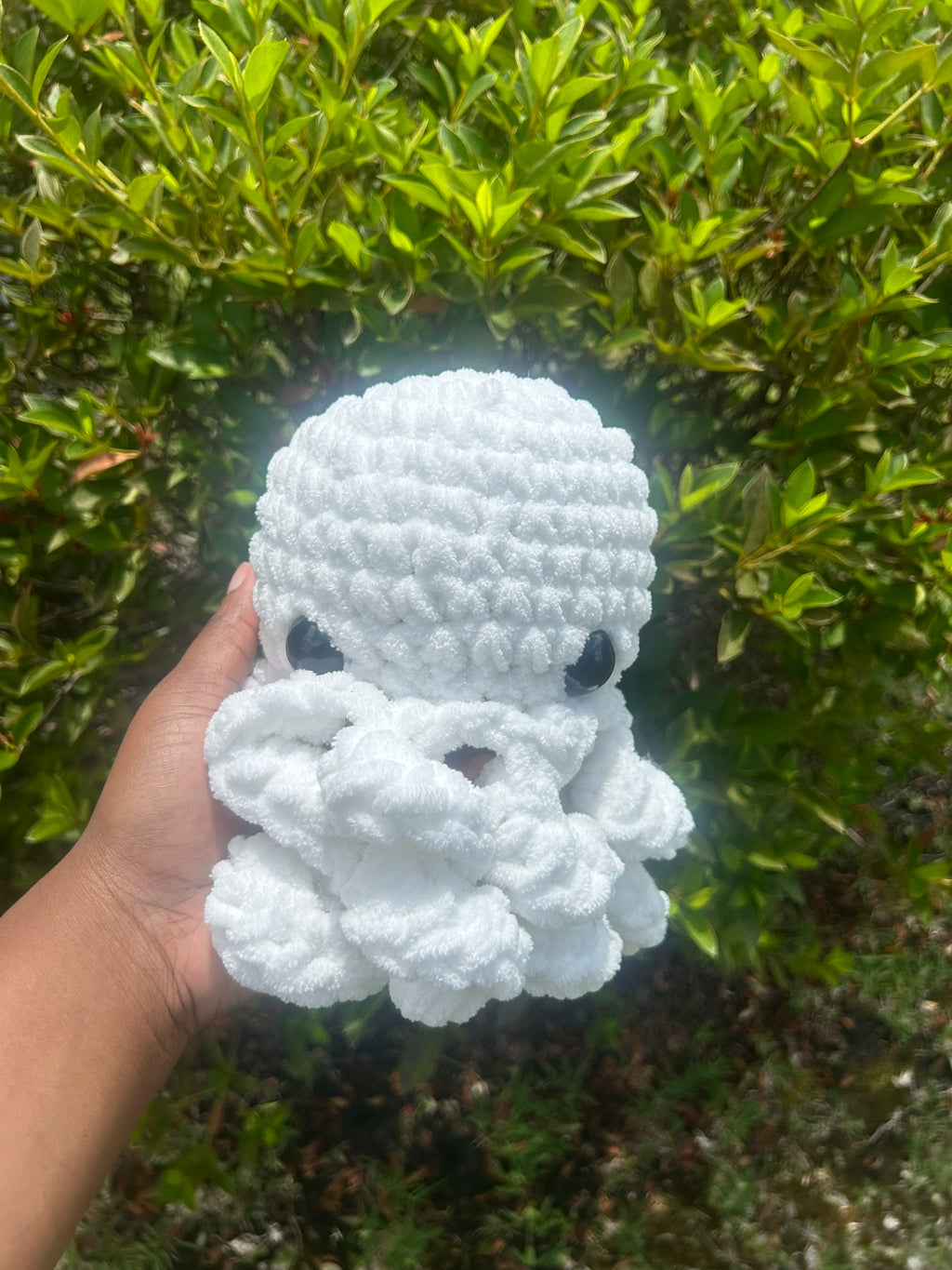 Classic Octopus
