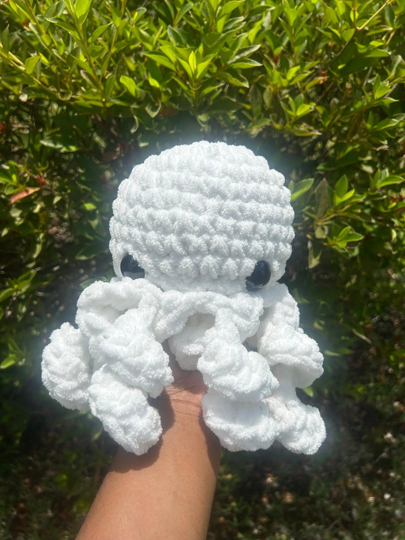 Classic Octopus