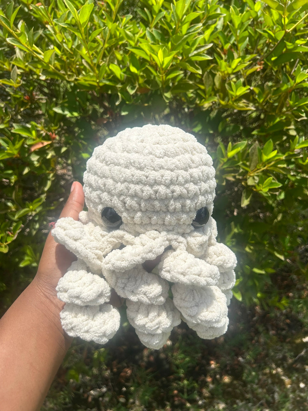 Classic Octopus