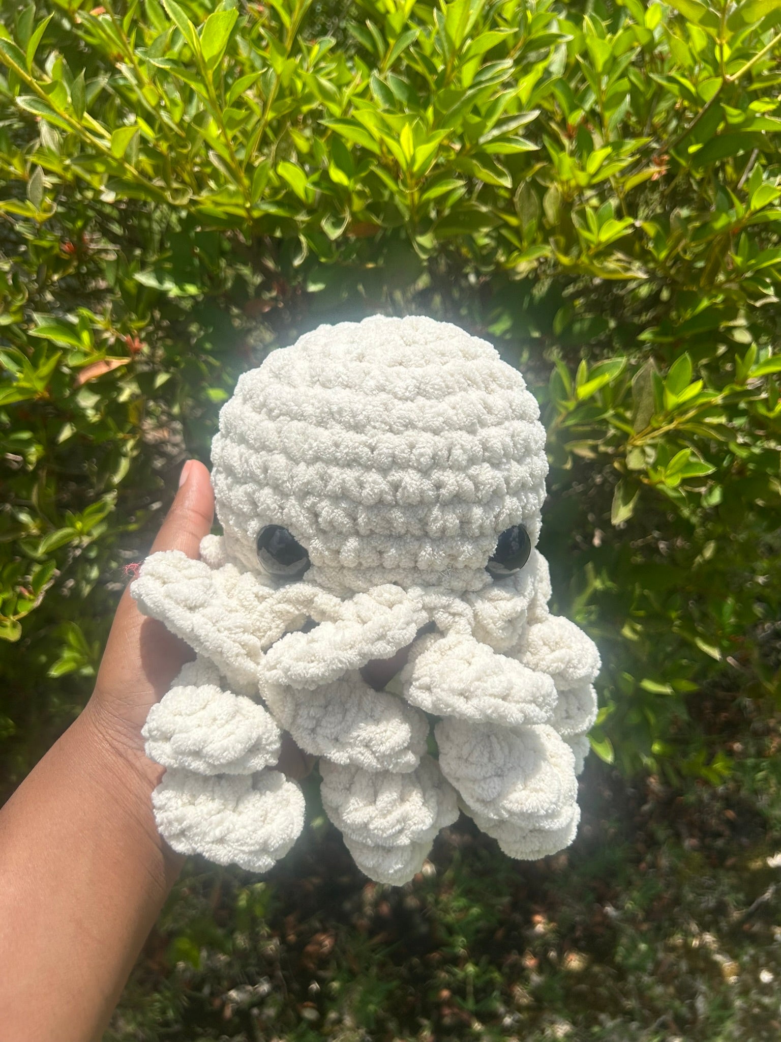 Classic Octopus