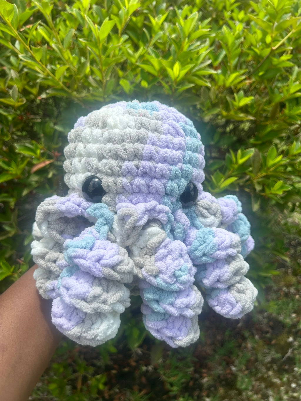 Classic Octopus