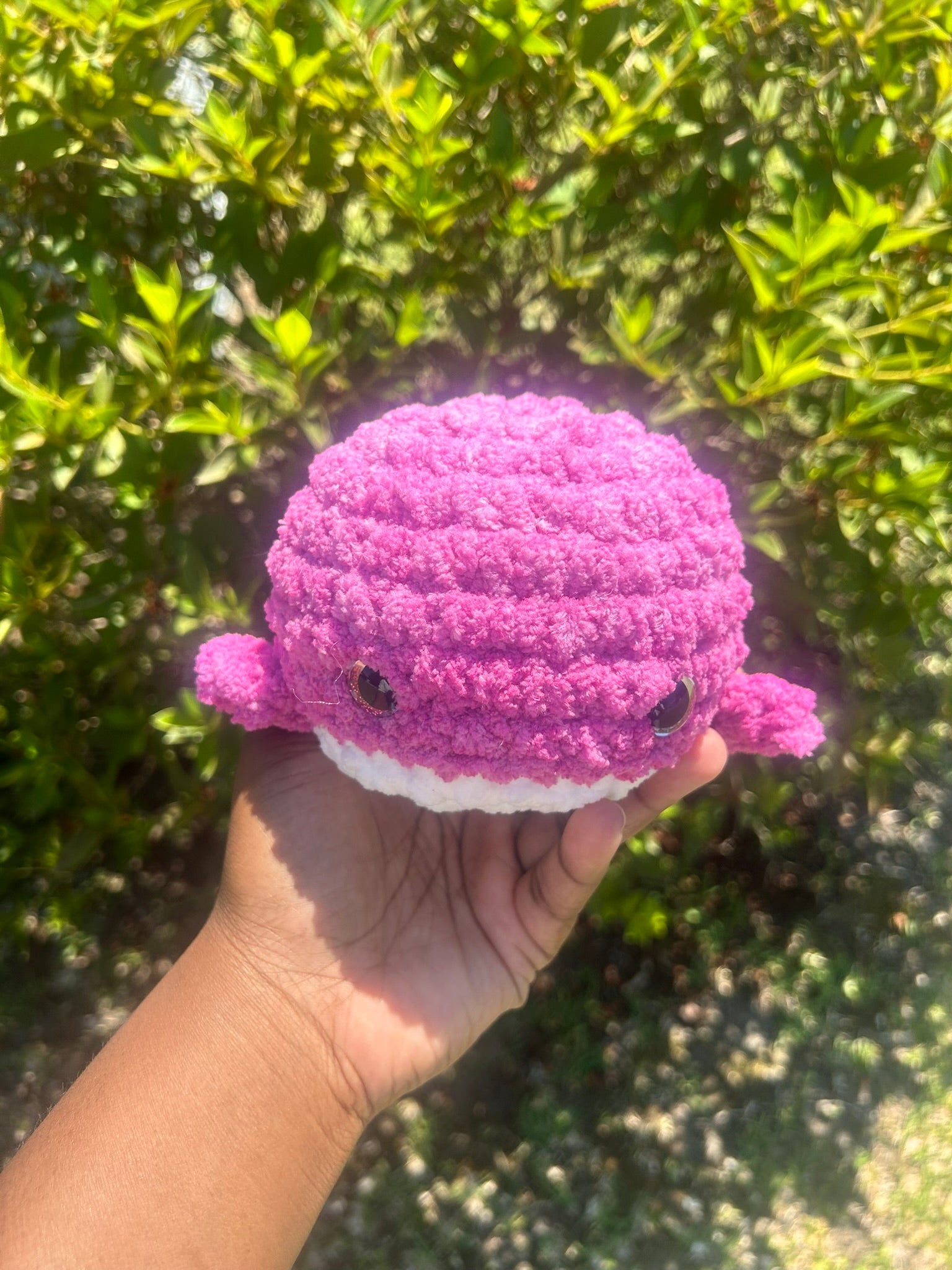 Limited Edition Classic Whale