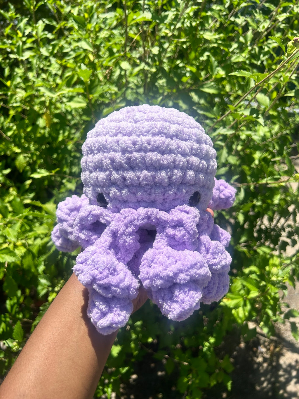 Classic Octopus