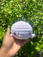 Classic Whale