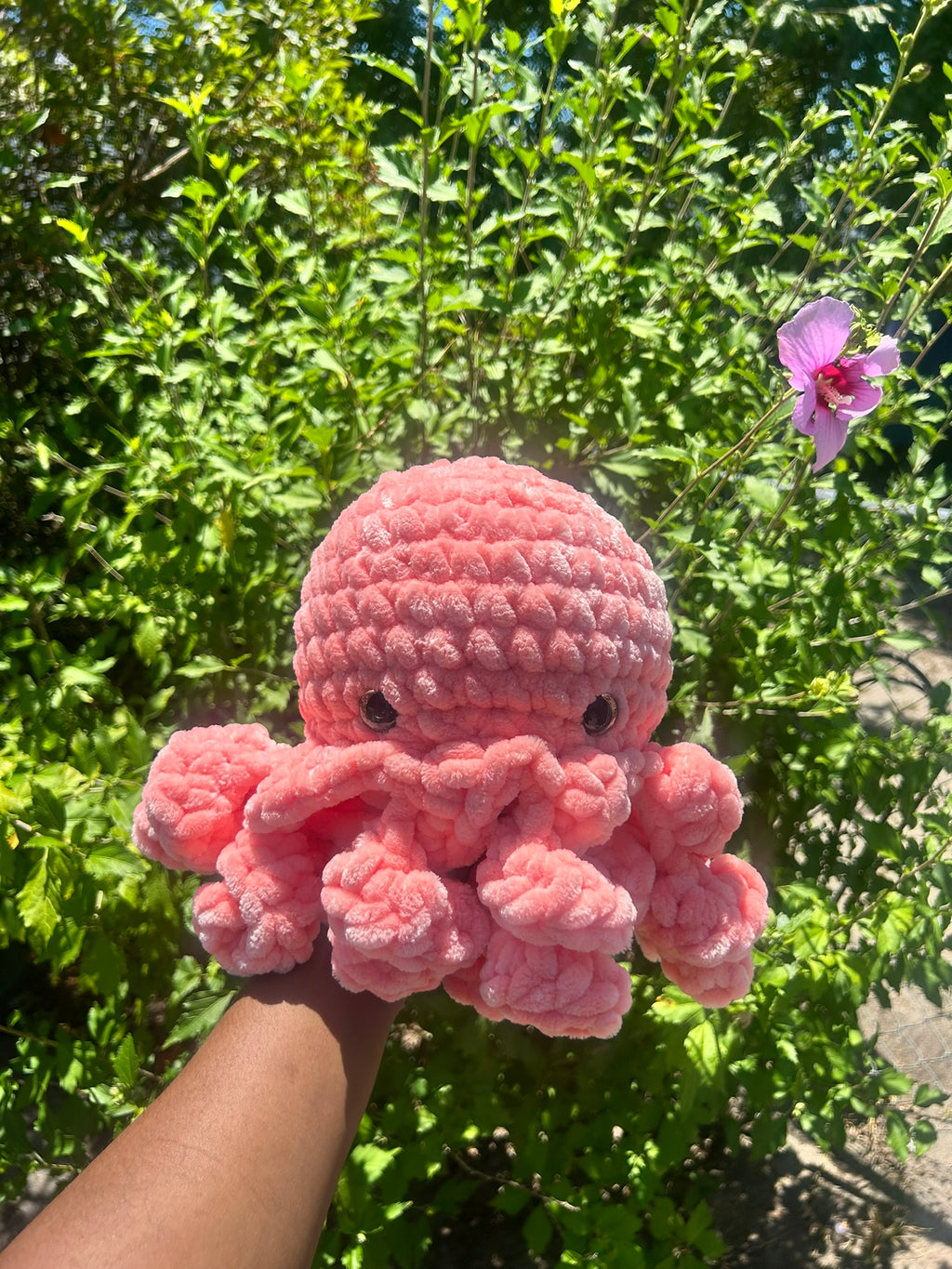 Large Octopus