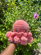 Large Octopus