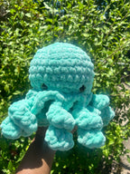 Large Octopus