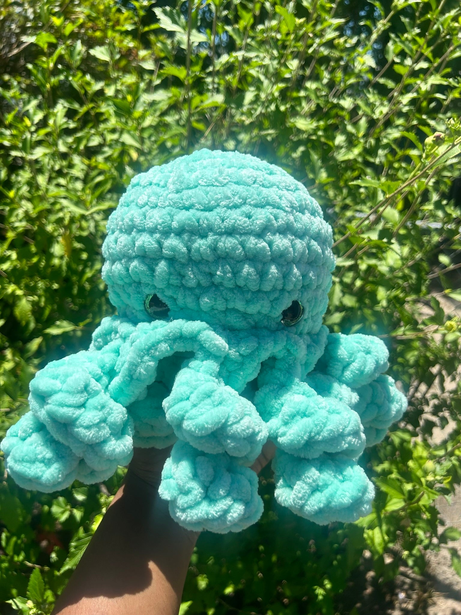 Large Octopus