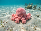 Large Octopus