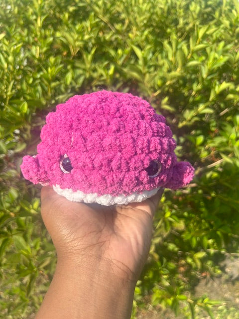 Limited Edition Classic Whale